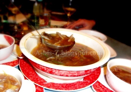 PekingEnte_1 (19)