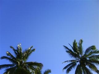 A clear Sky