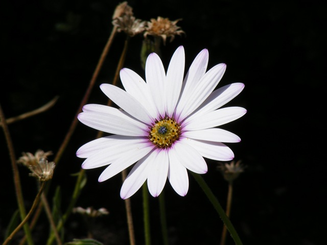 [Picture1543.jpg]