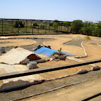 circuito palos 017.jpg