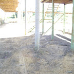 circuito palos 024.jpg
