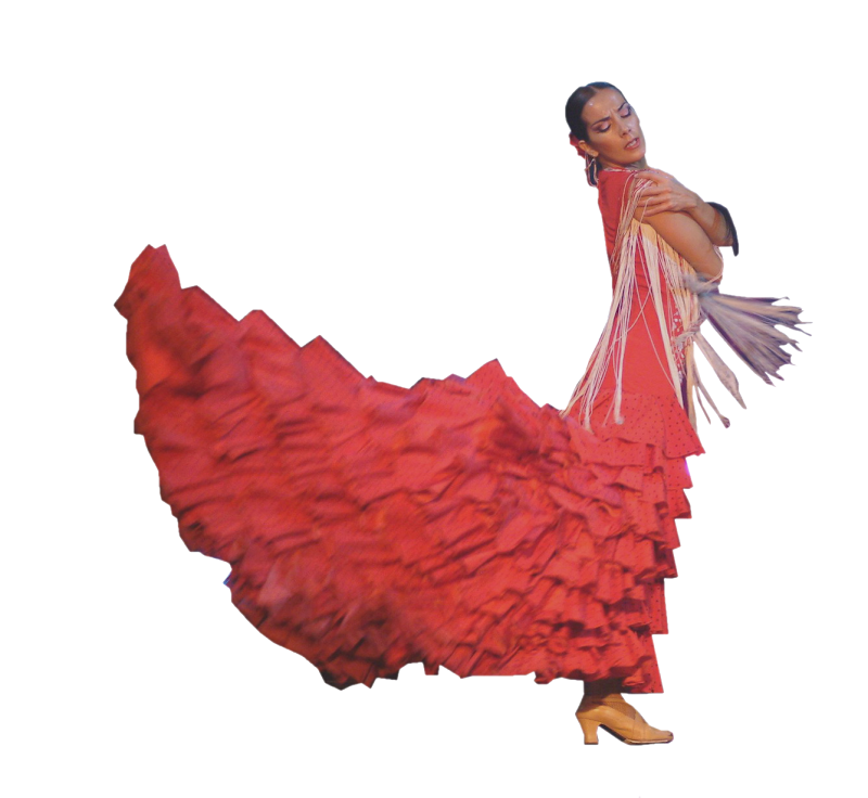 Flamenco Virgi