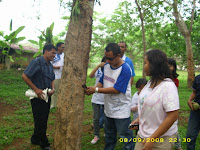 DSCI0082_resize.JPG