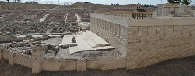[P1010662[5].jpg]