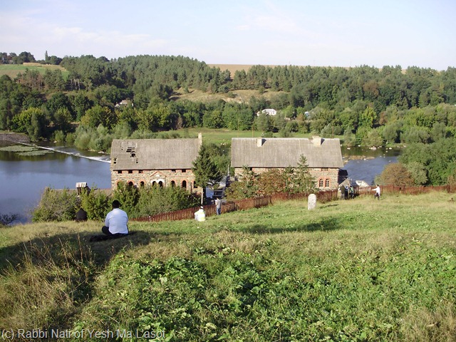[P8250047[6].jpg]