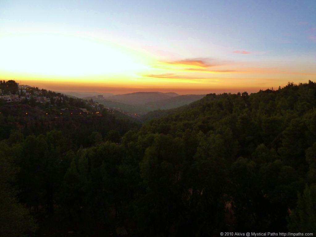 [P1020739[10].jpg]