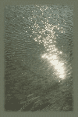 [image001[2].gif]