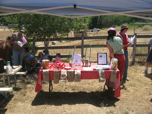 [26-27 Jun Horse Show Eddy Ranch 468[5].jpg]