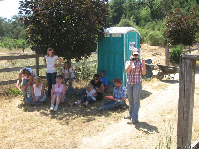 [26-27 Jun Horse Show Eddy Ranch 461[4].jpg]