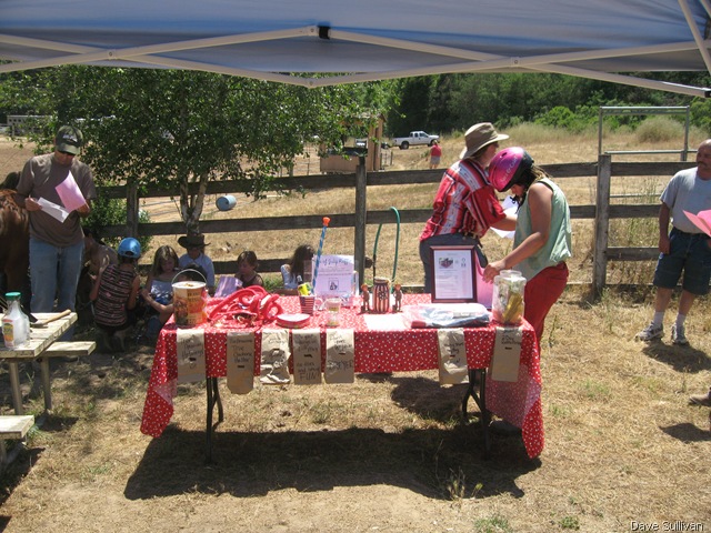 [26-27 Jun Horse Show Eddy Ranch 467[4].jpg]