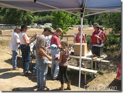 26-27 Jun Horse Show Eddy Ranch 484