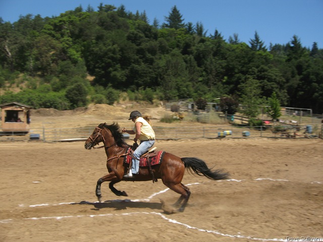 [26-27 Jun Horse Show Eddy Ranch 265[1].jpg]