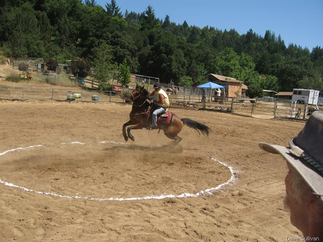 [26-27 Jun Horse Show Eddy Ranch 262[1].jpg]