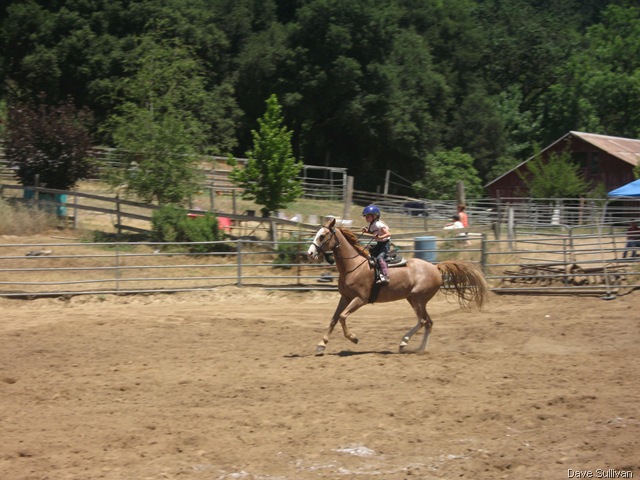 [26-27 Jun Horse Show Eddy Ranch 294[1].jpg]