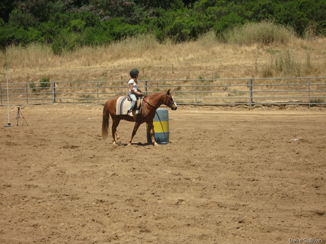 [26-27 Jun Horse Show Eddy Ranch 299[1].jpg]