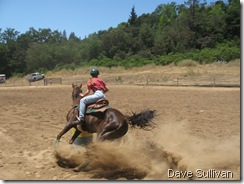 26-27 Jun Horse Show Eddy Ranch 342