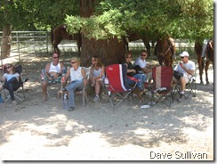 26-27 Jun Horse Show Eddy Ranch 392