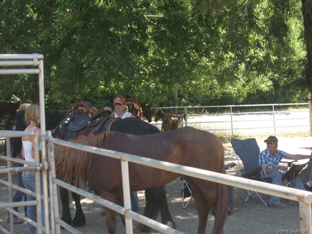 [26-27 Jun Horse Show Eddy Ranch 162[4].jpg]
