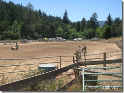 26-27 Jun Horse Show Eddy Ranch 153