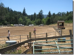 26-27 Jun Horse Show Eddy Ranch 155