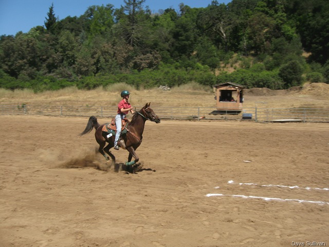 [26-27 Jun Horse Show Eddy Ranch 191[2].jpg]