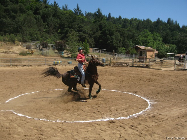[26-27 Jun Horse Show Eddy Ranch 194[1].jpg]