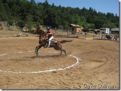 26-27 Jun Horse Show Eddy Ranch 196