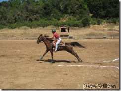 26-27 Jun Horse Show Eddy Ranch 199