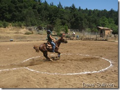 26-27 Jun Horse Show Eddy Ranch 206