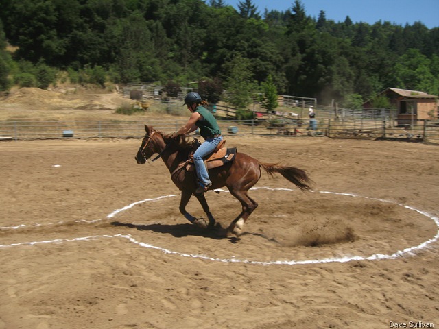 [26-27 Jun Horse Show Eddy Ranch 210[1].jpg]
