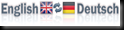 icon_switch_language