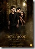 Twilight_2_New_Moon_Biss_zur_Mittagsstunde_Teaser_Poster