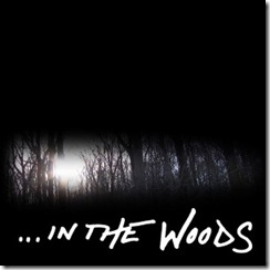 in-the-woods-6