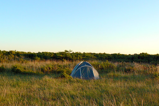 kawak