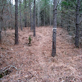 IMG_1104.JPG