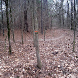 IMG_1105.JPG