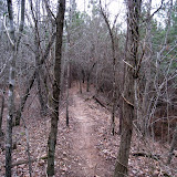 IMG_1103.JPG
