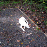 IMG_0132.JPG