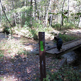 IMG_0057.JPG