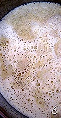 IMG_2992 IMG_2992