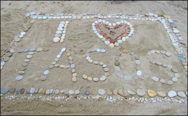IMG_4950 IMG_4950