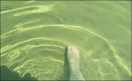 IMG_5233 IMG_5233