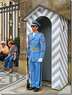 IMG_8095 IMG_8095
