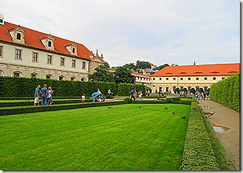 IMG_7914 IMG_7914