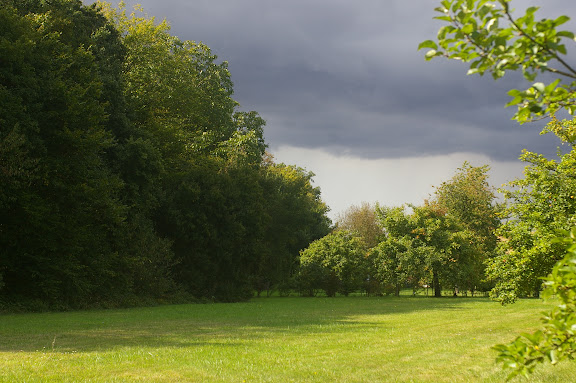 Le jardin aux Hautes-Lisières, 12 septembre 2008.