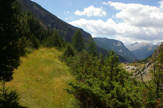 Biotope de Parnassius apollo. La Blachière (Maurin). À droite, la vallée de l'Ubaye (vue vers l'ouest). 13 août 2009. Photo : J.-M. Gayman
