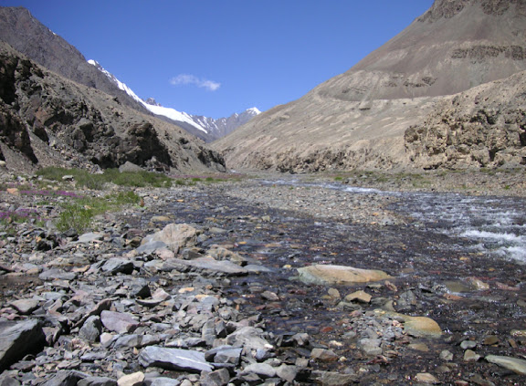 Vallée de la Sasyk, 10 km au NNO de la rivière Pshart, 4000 m (Muzkol Range). 27 juillet 2007. Photo Jean Michel