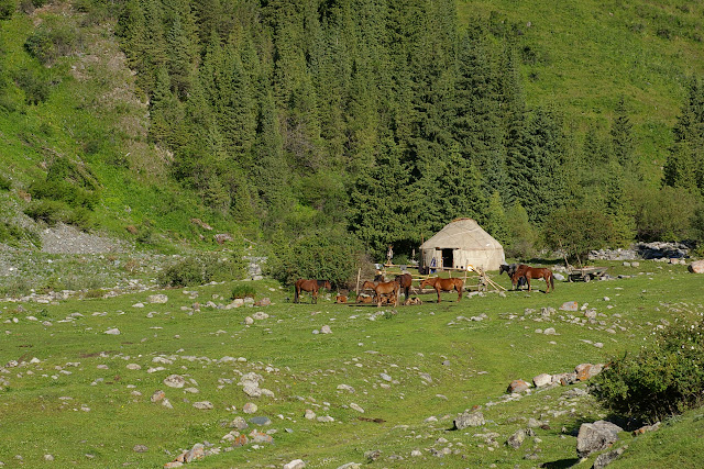 Yourte kyrgyze, Kyzyl Aksuu, Kungej Alatau, Kyrgyzistan (5 juillet 2006). Photo : J.-M. Gayman