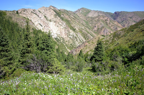 Un vallon à Kara Unkur (2600 m). Biotope de Parnassius mnemosyne. 18 juillet 2006. Photo : J.-M. Gayman