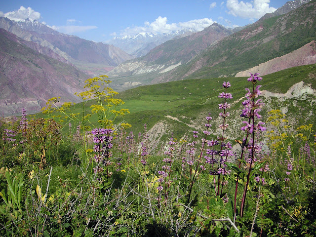 Au-dessus de Muk, 2800 m, vallée de Muksu (vue vers l'Est), Tadjikistan, 10 juillet 2007. Photo : F. Michel